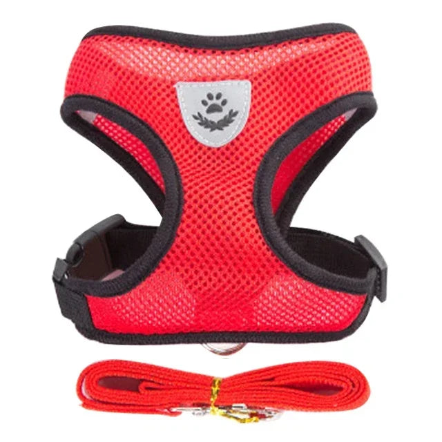 Cat and Dog Walking Harness and Leash Set