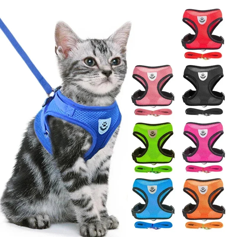 Cat and Dog Walking Harness and Leash Set
