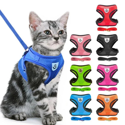 Cat and Dog Walking Harness and Leash Set