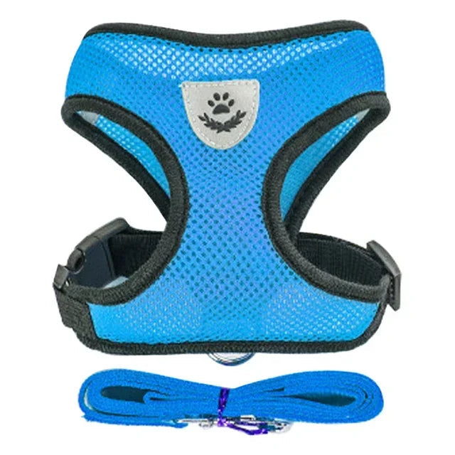 Cat and Dog Walking Harness and Leash Set