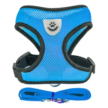 Cat and Dog Walking Harness and Leash Set