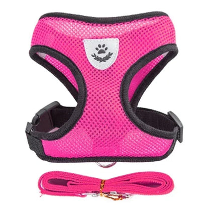 Cat and Dog Walking Harness and Leash Set