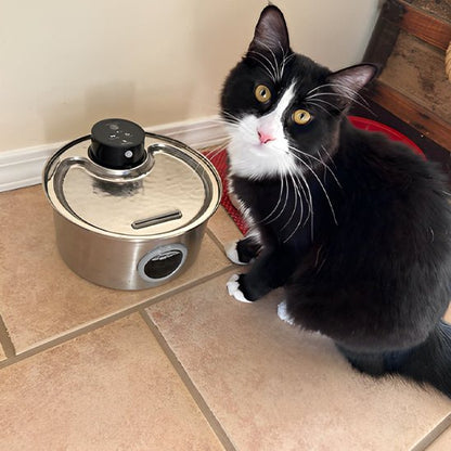 cordless cat water fountain | battery-powered hydration