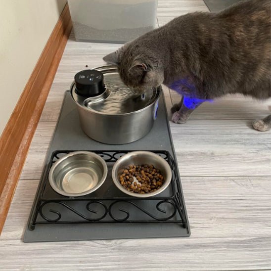 cordless cat water fountain | battery-powered hydration