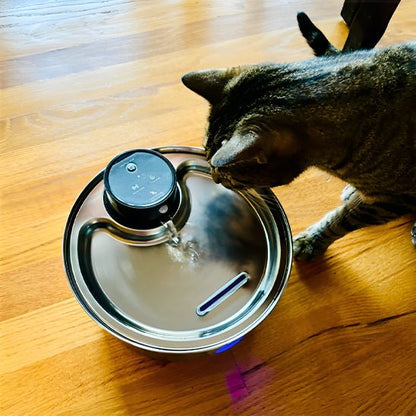cordless cat water fountain | battery-powered hydration