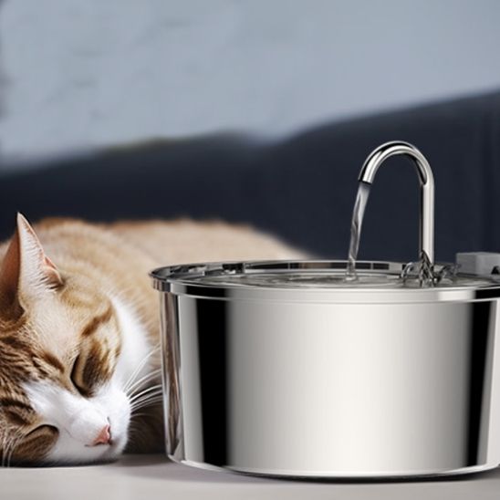 pet water dispenser | always fresh