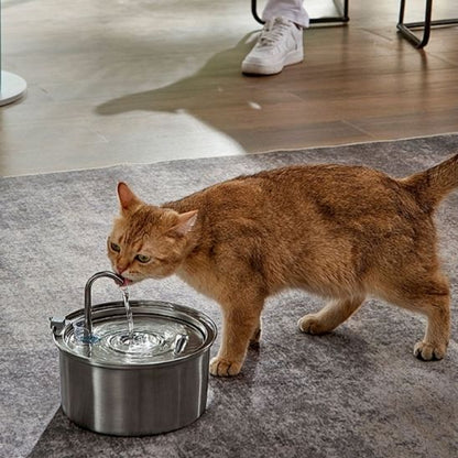 pet water dispenser | always fresh