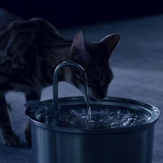 pet water dispenser | always fresh