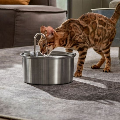 pet water dispenser | always fresh