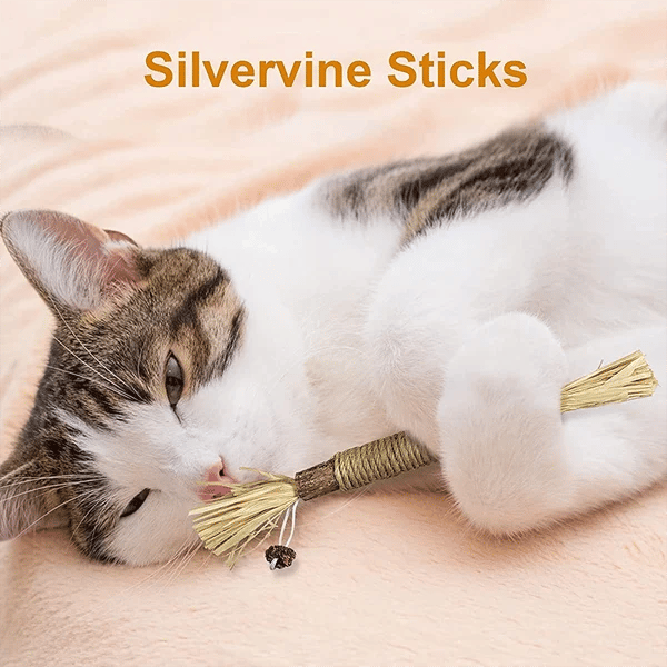 Natural Silvervine Cat Toy – Play, Relax & Dental Cleaning
