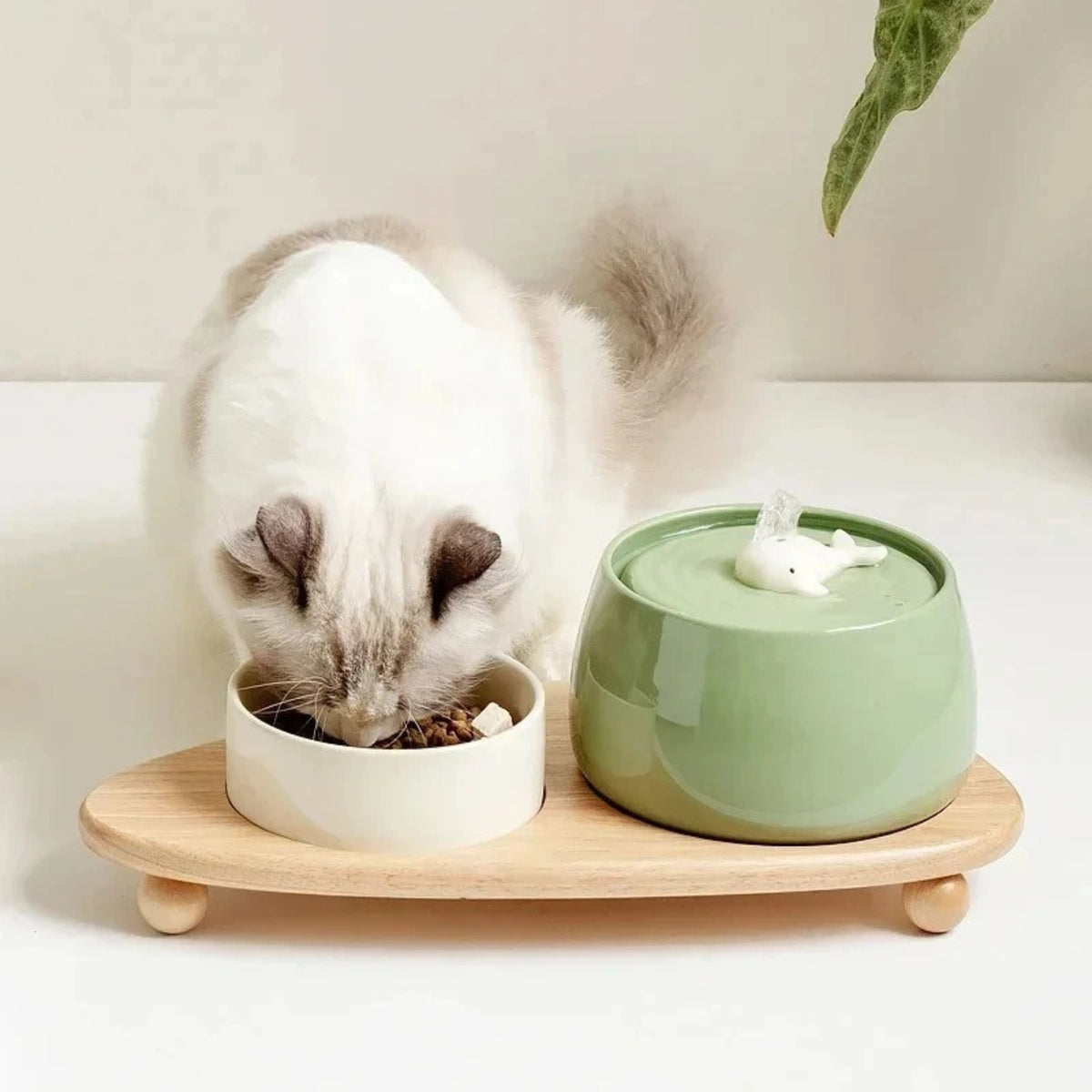 AquaCeramic Pet Hydration Fountain