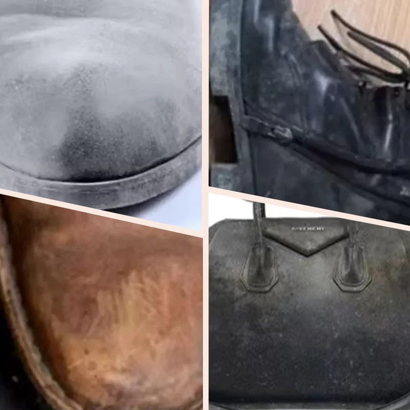 Universal Neutral Shoe Polish Cream With Sponge