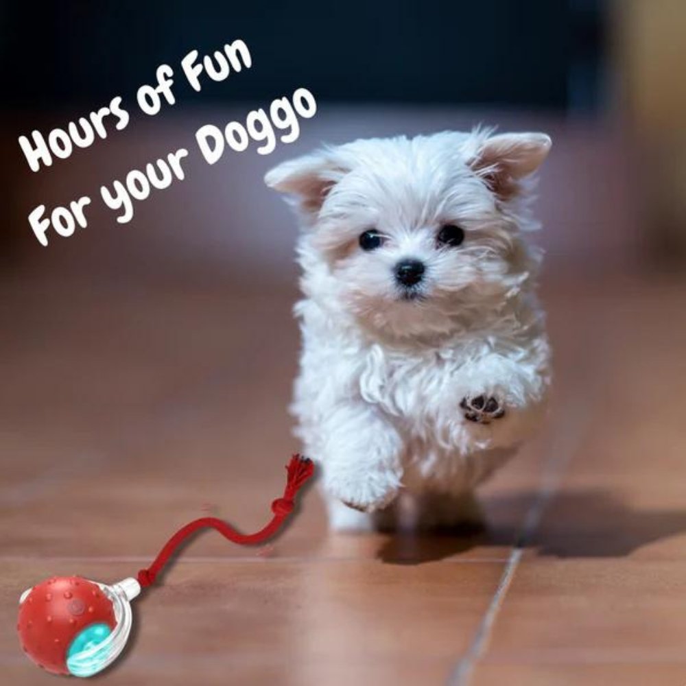 ChewRoll • Rolling Ball Toy