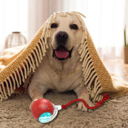 ChewRoll • Rolling Ball Toy