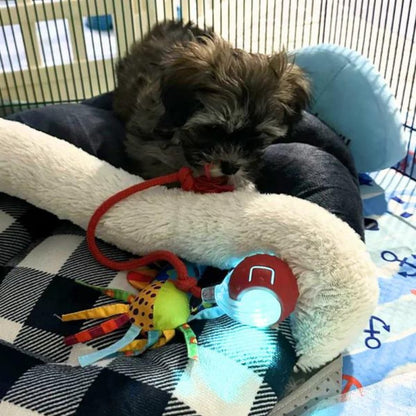 ChewRoll • Rolling Ball Toy