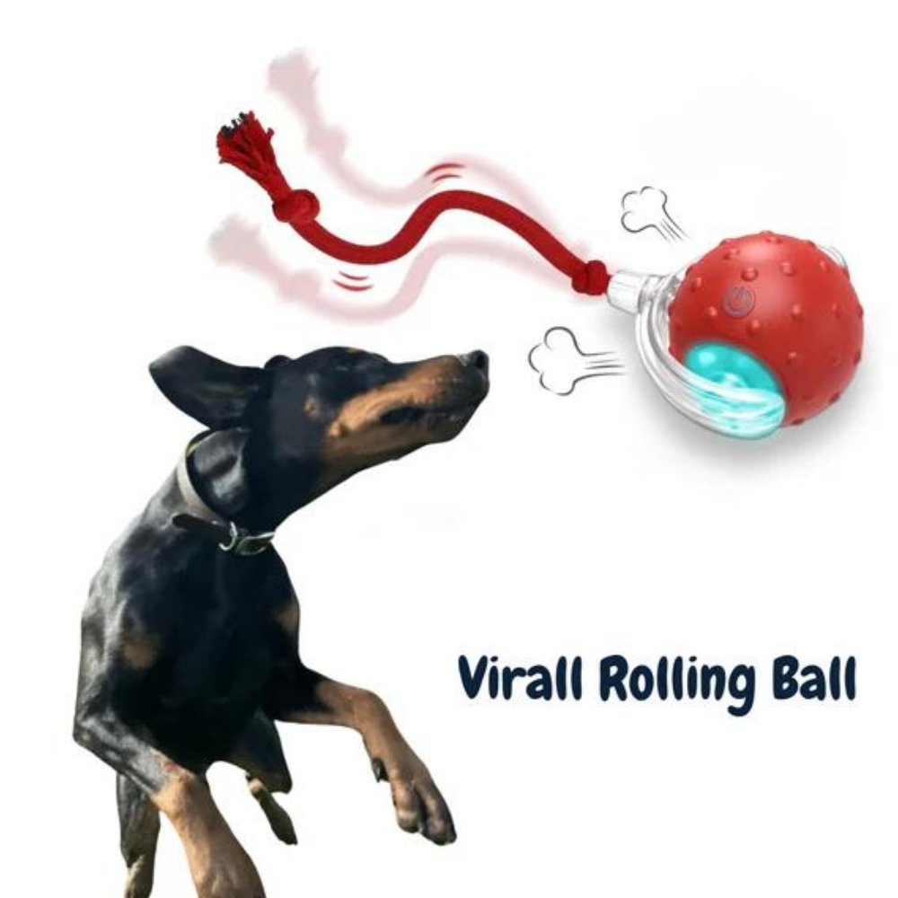 ChewRoll • Rolling Ball Toy