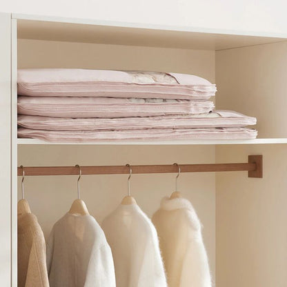 CompressLock space-saving hanging storage bag