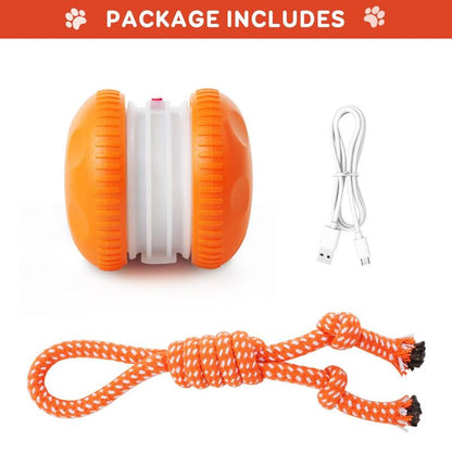 Pet Toy Wheels With Rope – Keep Your Pet Relaxed, Happy & Content for Cat & Dog