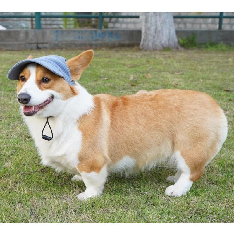UV-Blocking Pet Baseball Hat – Stylish Sun Protection for Dogs