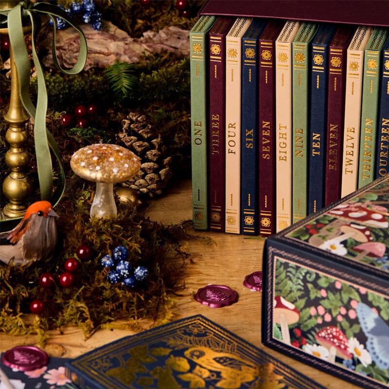 Davy | 24 Days Stationery Countdown | Limited Winter Forest Edition | 24 Surprises | Eco-Friendly