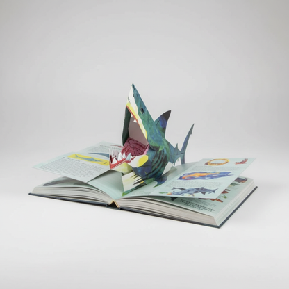 Davy | 3D Pop-up Book Dinosaurs