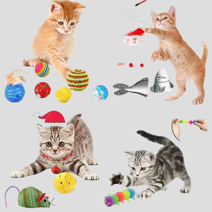 Davy | Advent Calendar for Cats, 24 Days of Fun Surprises