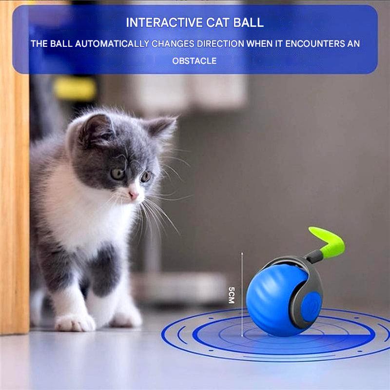 Davy | Automatic Cat Ball Toy - Self-Moving Rolling Play Sphere
