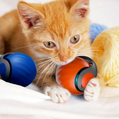 Davy | Automatic Cat Ball Toy - Self-Moving Rolling Play Sphere