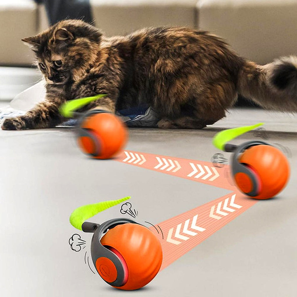 Davy | Automatic Cat Ball Toy - Self-Moving Rolling Play Sphere
