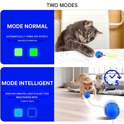 Davy | Automatic Cat Ball Toy - Self-Moving Rolling Play Sphere
