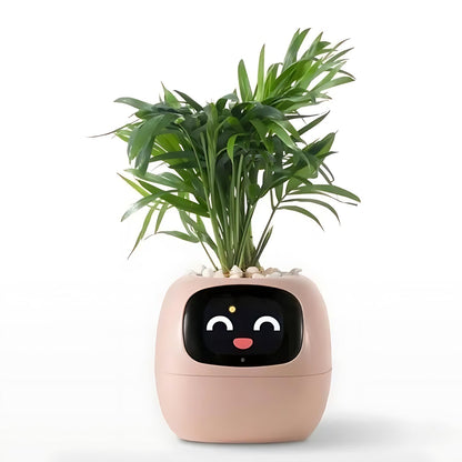 Davy | Automatic Smart Flower Pot - GreenBuddy SmartPot