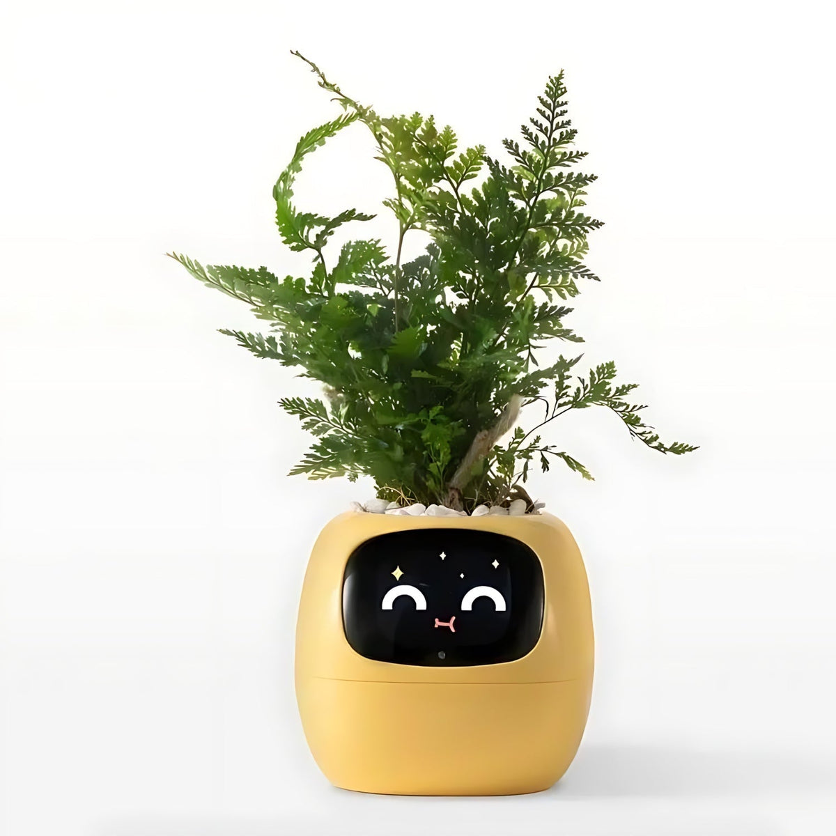 Davy | Automatic Smart Flower Pot - GreenBuddy SmartPot