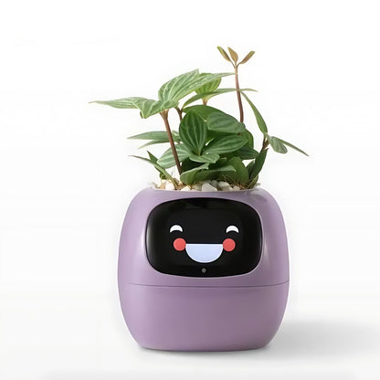 Davy | Automatic Smart Flower Pot - GreenBuddy SmartPot