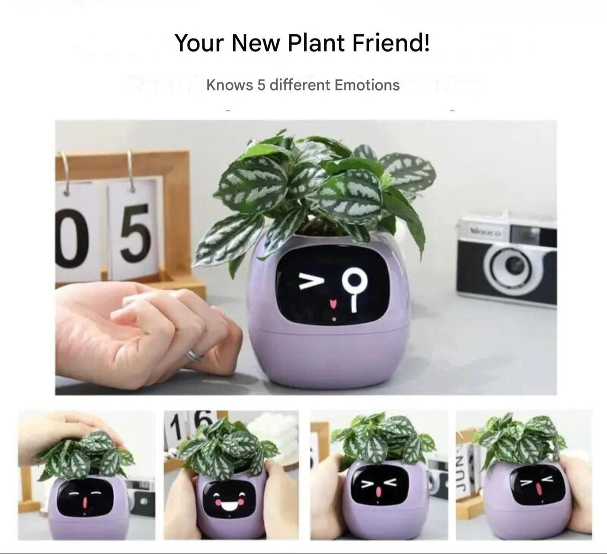 Davy | Automatic Smart Flower Pot - GreenBuddy SmartPot