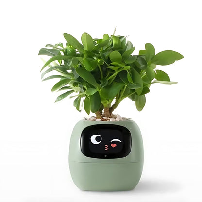 Davy | Automatic Smart Flower Pot - GreenBuddy SmartPot