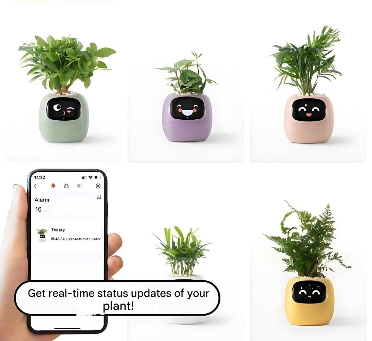 Davy | Automatic Smart Flower Pot - GreenBuddy SmartPot
