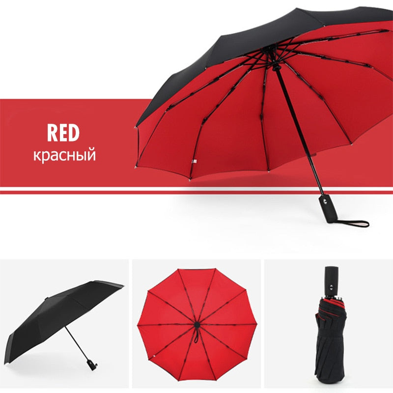Davy | Automatic Storm Umbrella with Reverse Fold