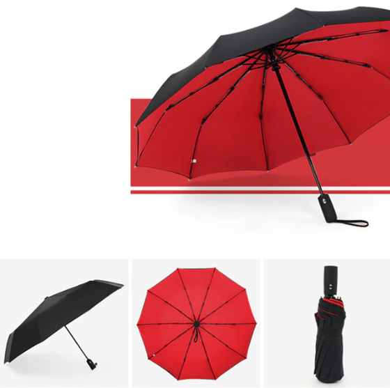 Davy | Automatic Storm Umbrella with Reverse Fold
