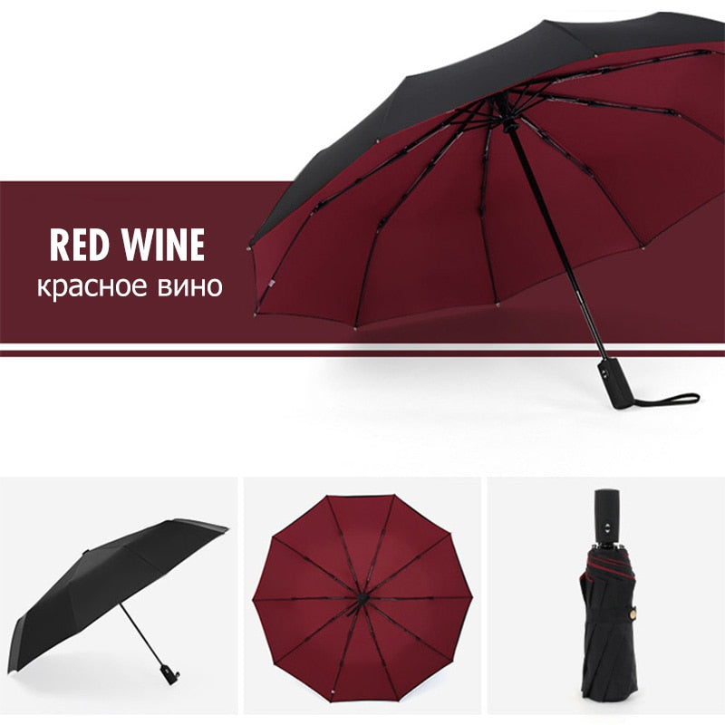 Davy | Automatic Storm Umbrella with Reverse Fold
