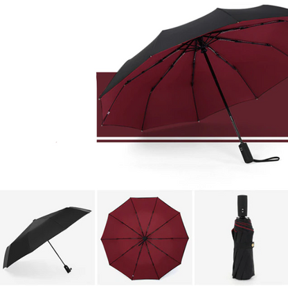 Davy | Automatic Storm Umbrella with Reverse Fold
