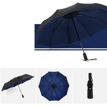 Davy | Automatic Storm Umbrella with Reverse Fold