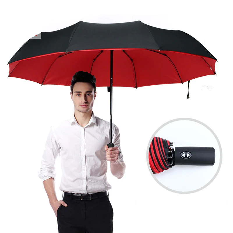 Davy | Automatic Windproof Storm Umbrella