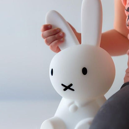 Davy | Rabbit Decorative Figurine | Iconic Character Art