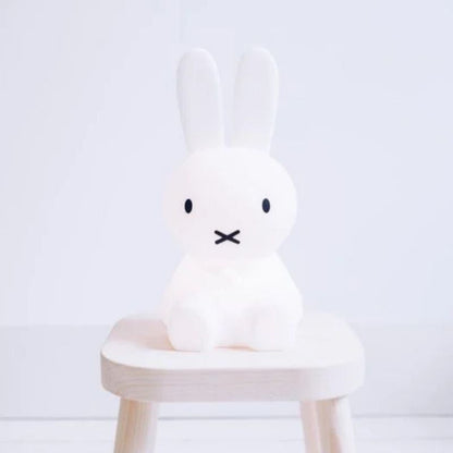 Davy | Rabbit Decorative Figurine | Iconic Character Art
