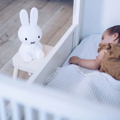 Davy | Rabbit Decorative Figurine | Iconic Character Art