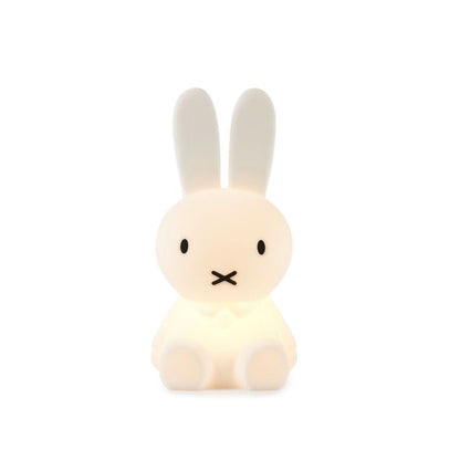 Davy | Rabbit Decorative Figurine | Iconic Character Art