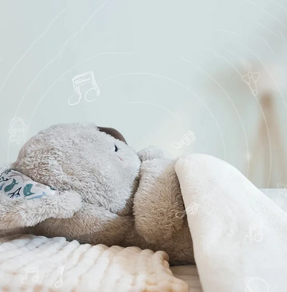 Davy | Calming Koala Breathing Toy