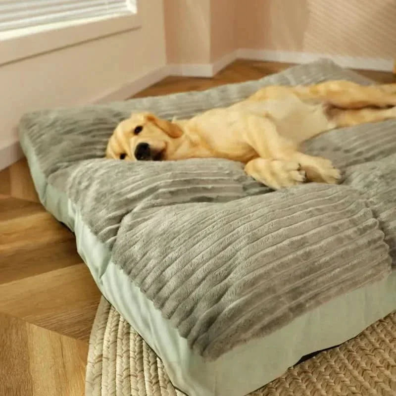 Davy | Serene Slumber: Supportive Bed for Peaceful Pups