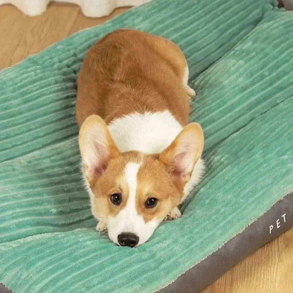 Davy | Serene Slumber: Supportive Bed for Peaceful Pups