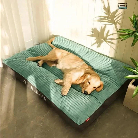 Davy | Serene Slumber: Supportive Bed for Peaceful Pups